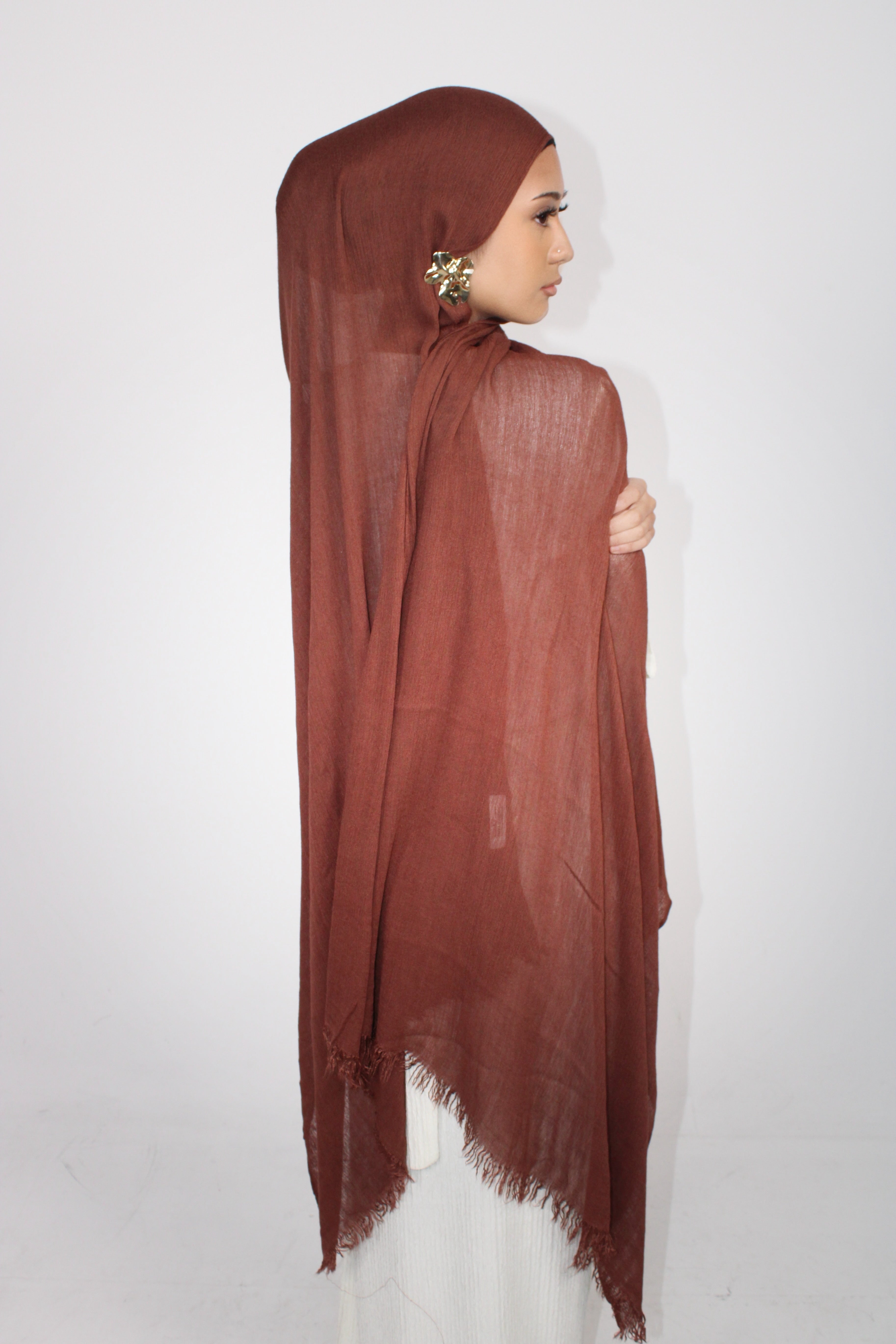 Rust-Rayon